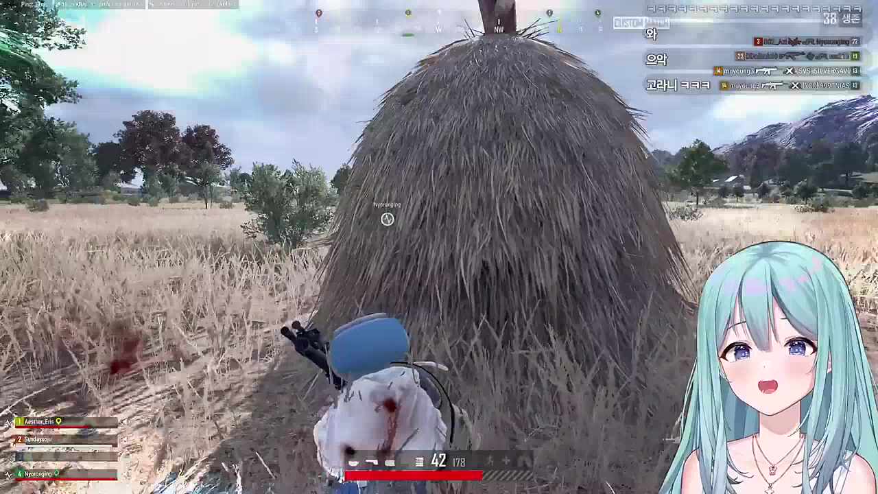 22팀 0킬 10위 고라니 엔딩으로 마무리