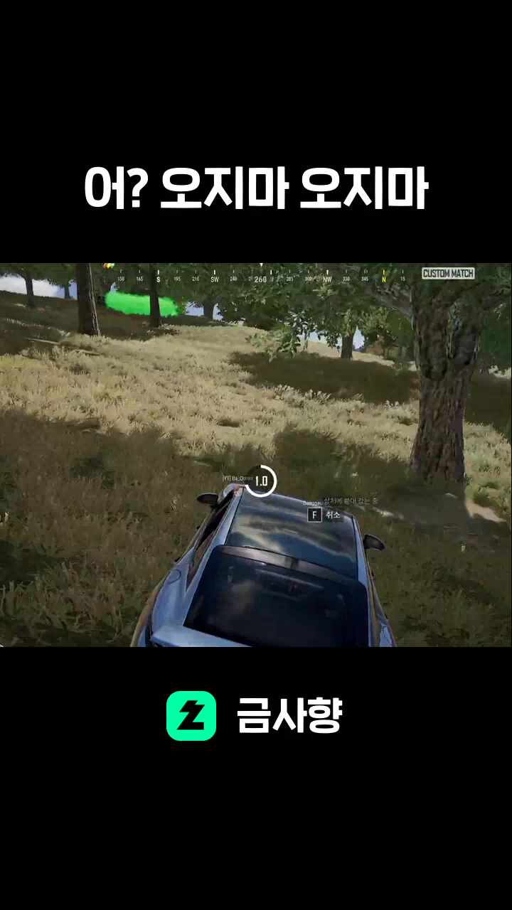 아무래도 내차가 멈추지 않는 탓일까?