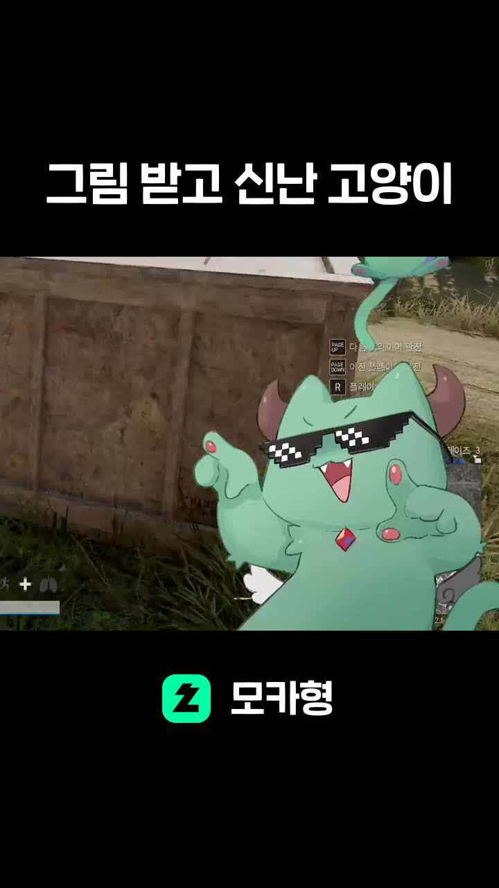 그림 받고 신난 고양이