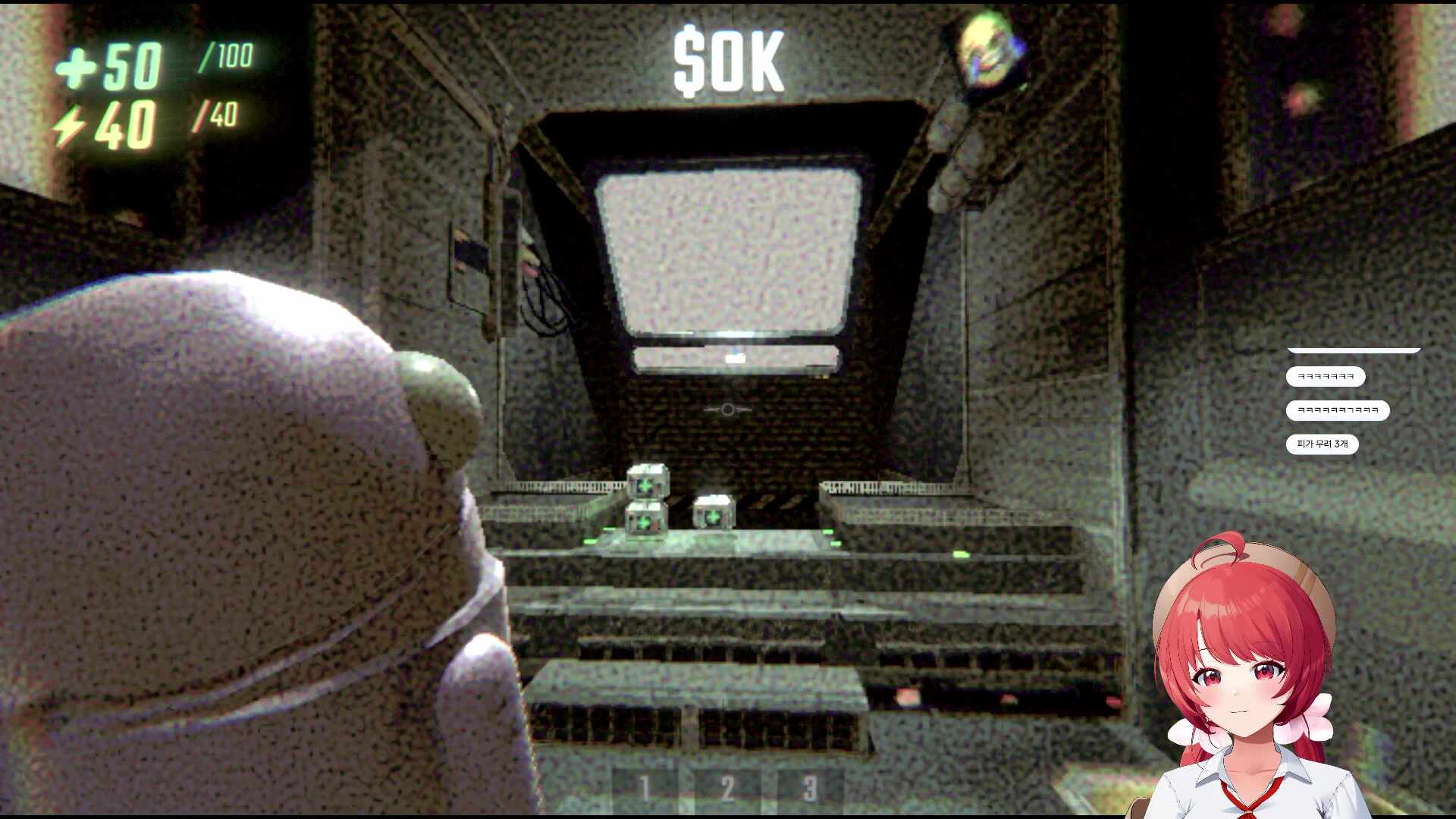 [꽃핀🌺] 배틀그라운드 100인매치 참여!