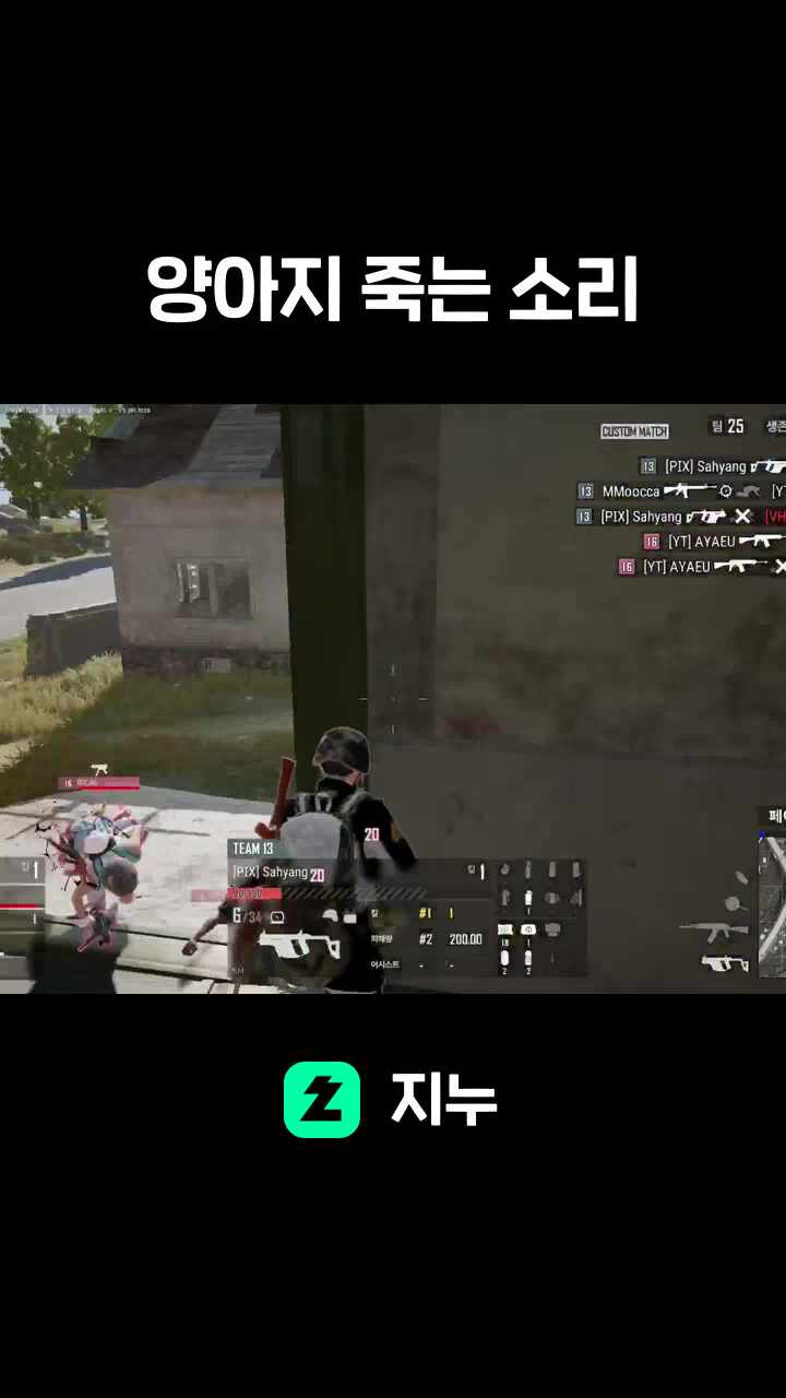 양아지 죽는 소리