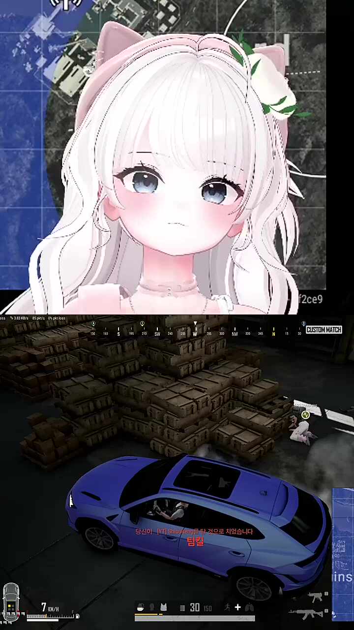 차도둑 트롤 금한구