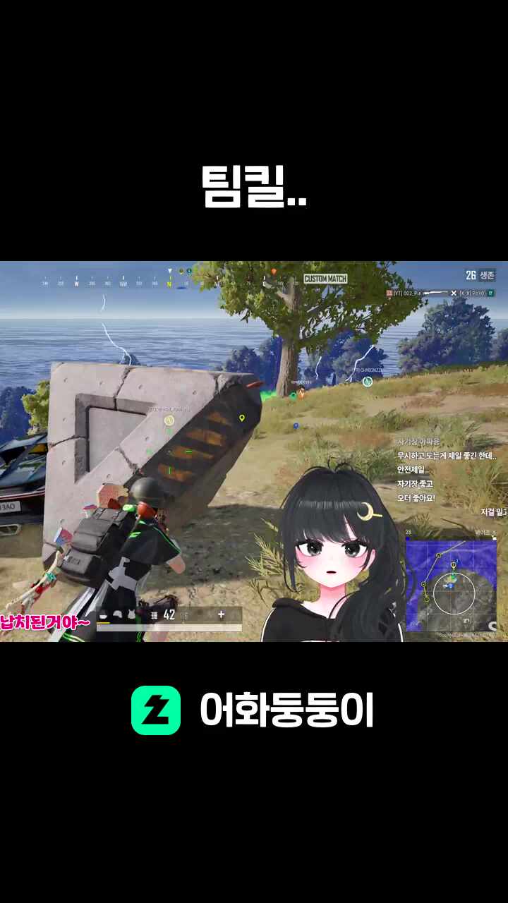 팀킬..