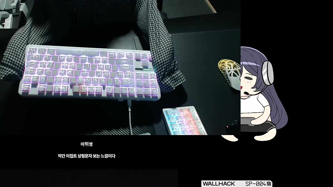 플래시 대신 키보드 흔드는 반님