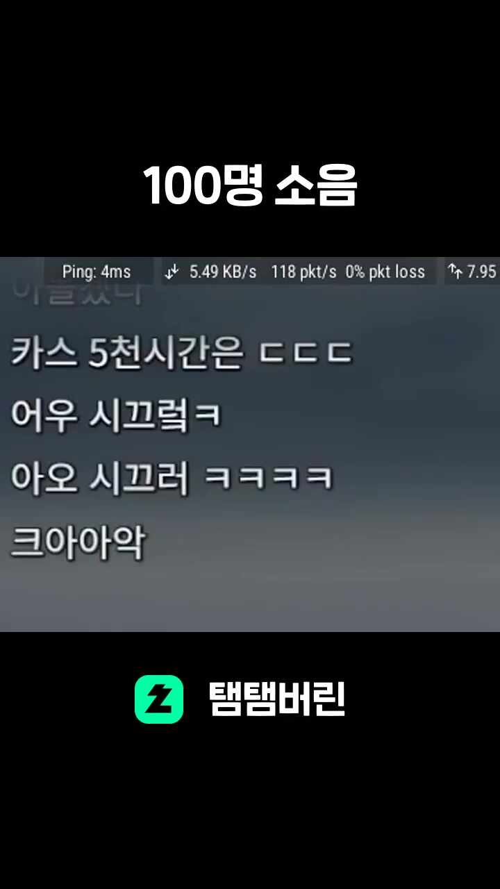 100명 소음