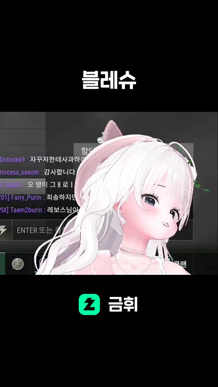 블레슈
