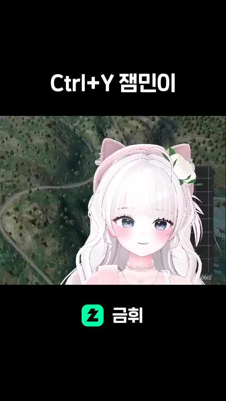 Ctrl+Y 잼민이