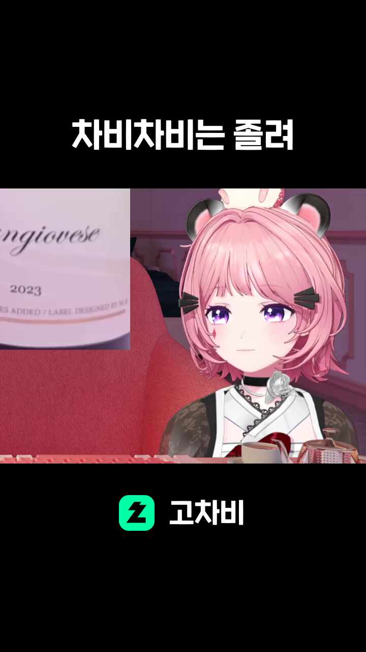 차비차비는 졸려
