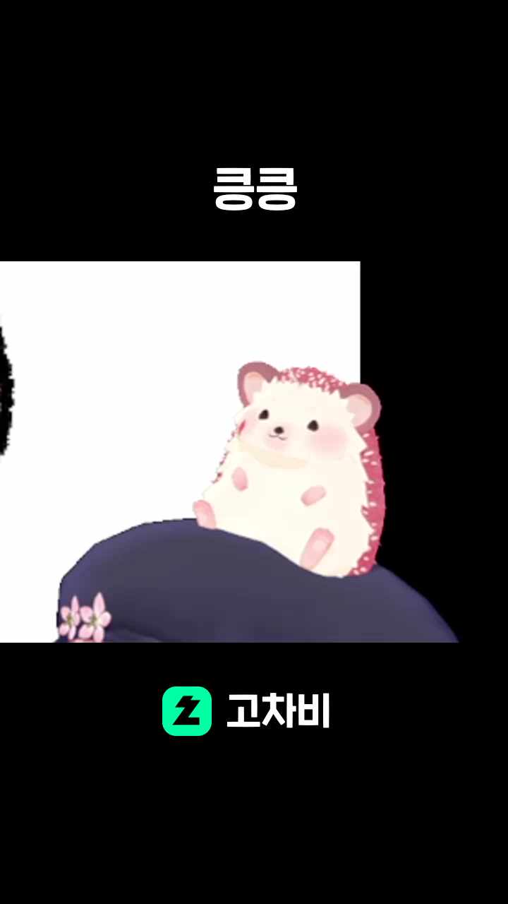 킁킁