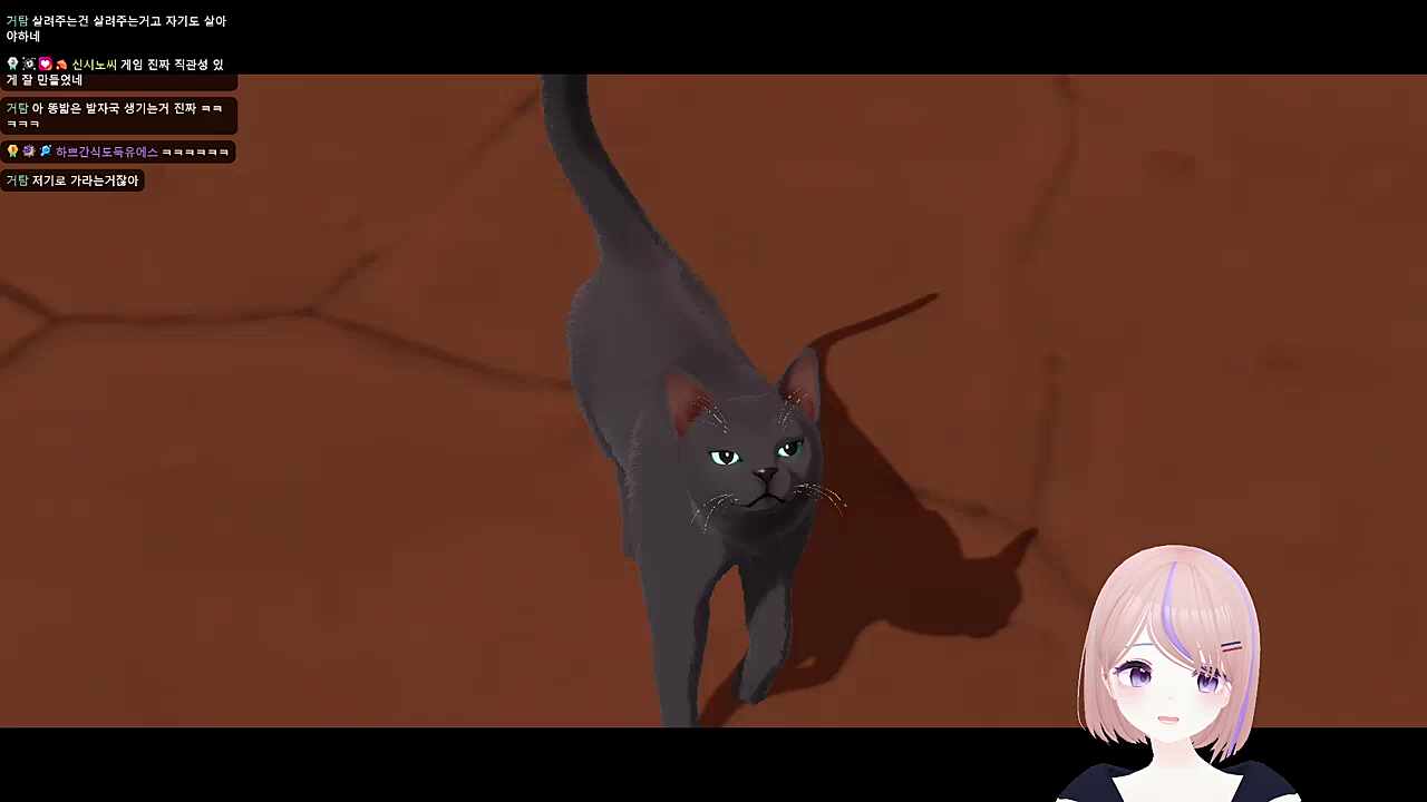 하악질 따라하는 하쁘