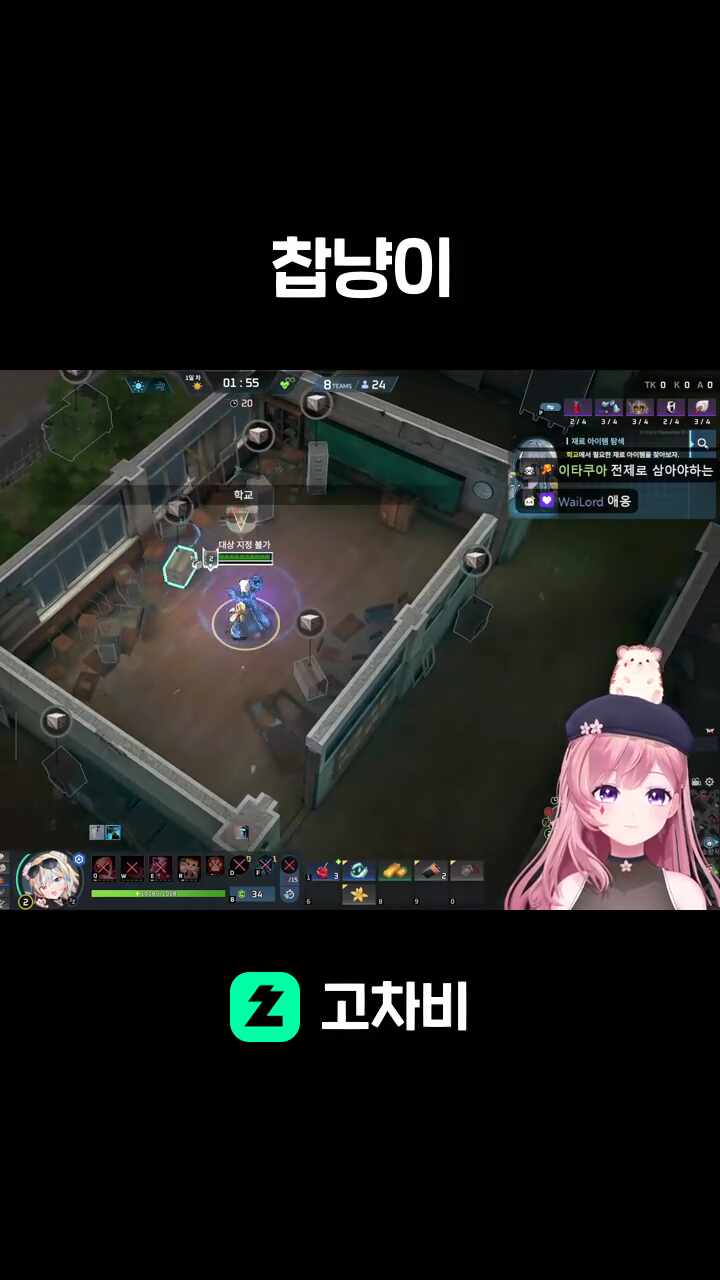 찹냥이