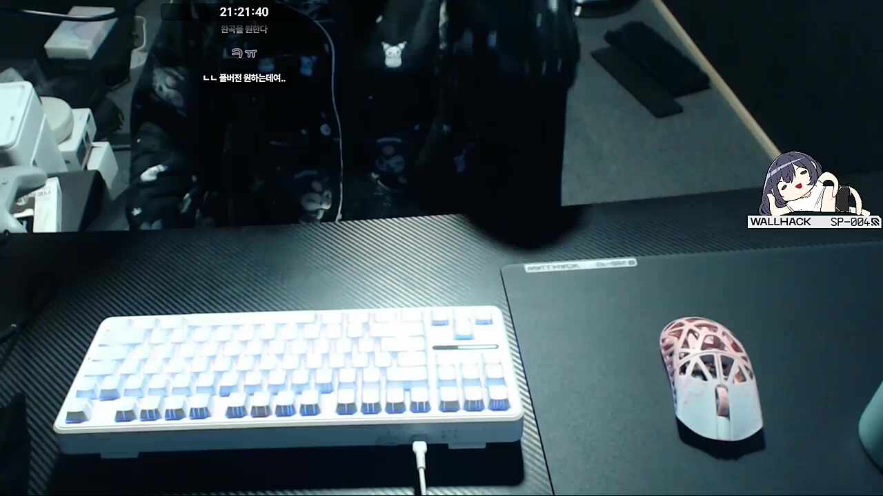 오타쿠랑 싱크룸하고싶다