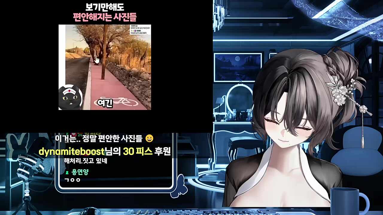 정말 편안한 사진들 반응