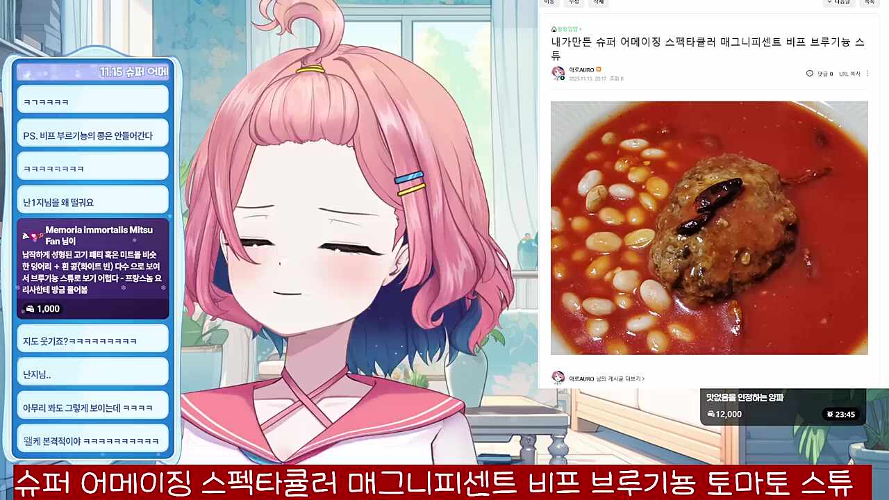 아로가 '요리'한 슈퍼 어메이징 스펙티큘러 매그니피센트 비프 브루기뇽 토마튜 스튜