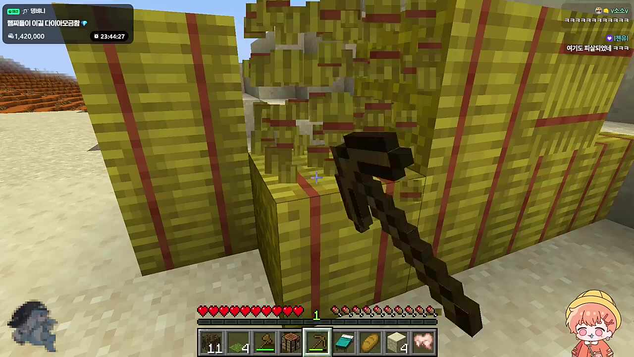 갑자기 디코 걸은 연님🐋