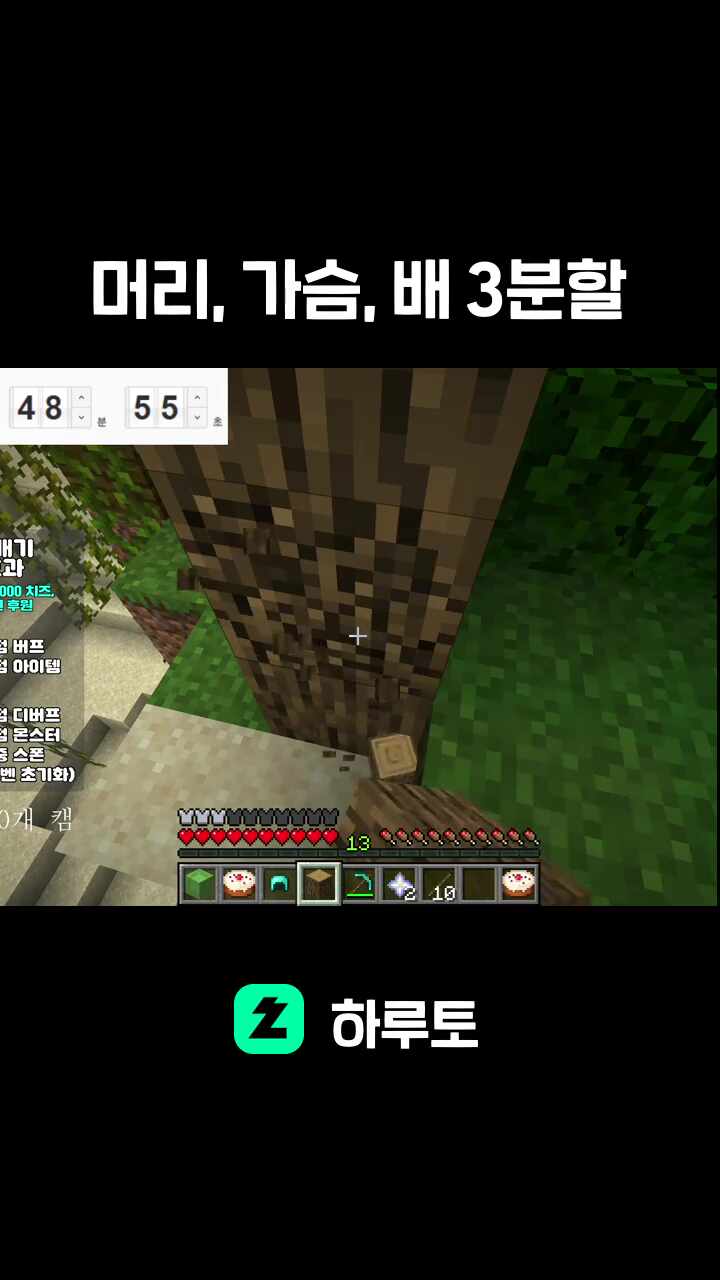 머리, 가슴, 배 3분할