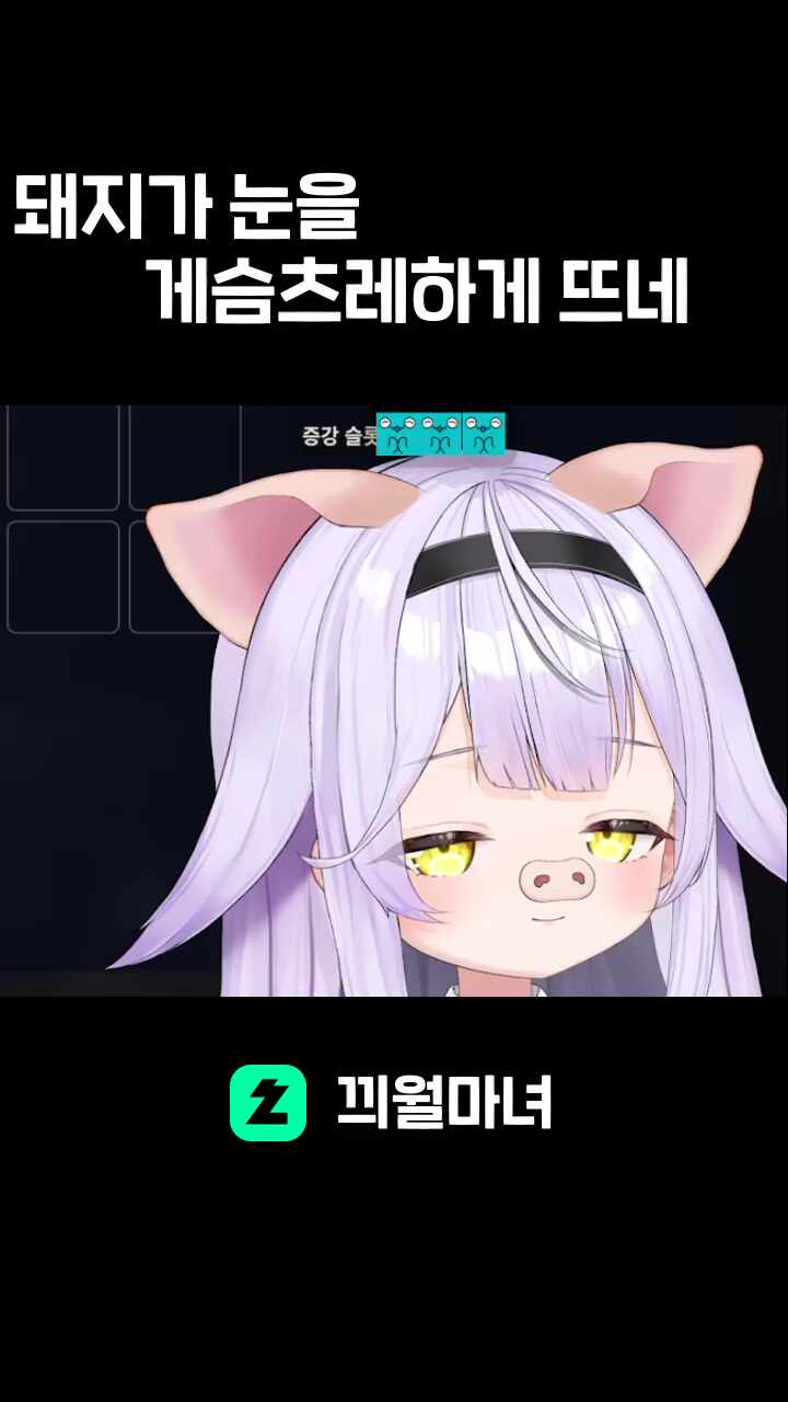 돼지가 눈을                              게슴츠레하게 뜨네
