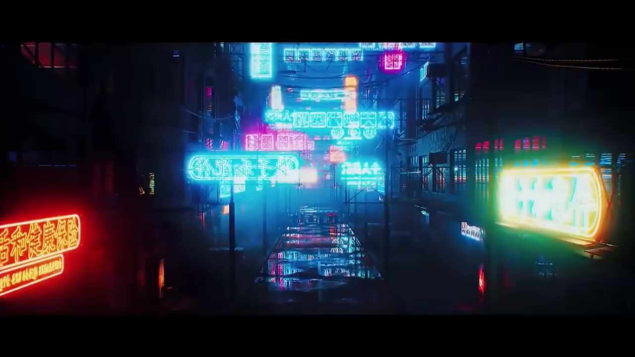 싸이코드❤️🐱💛🦊🩵🐬🩶🐺🧡🐹