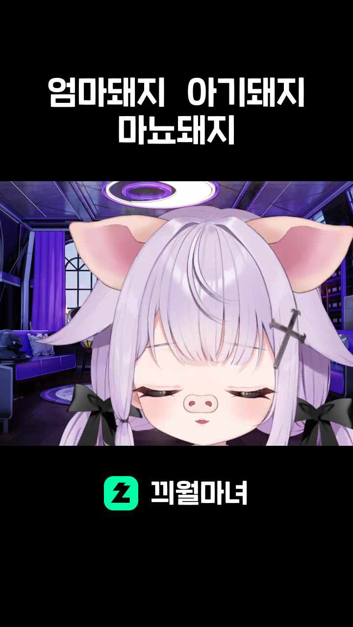     엄마돼지   아기돼지    마뇨돼지