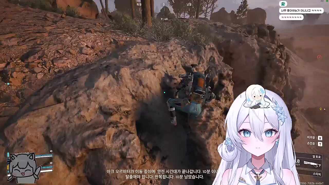 천천히올라와 아기고양이