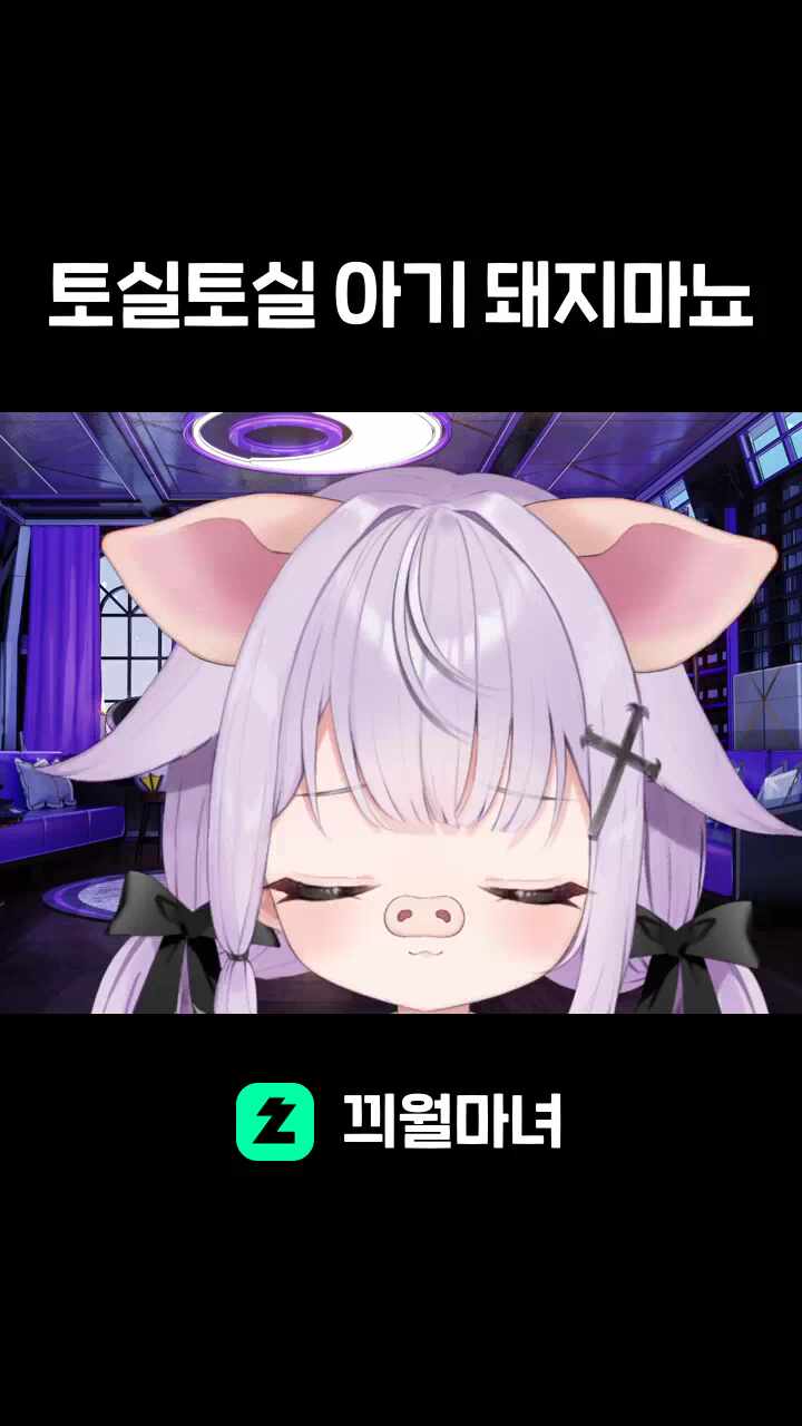 토실토실 아기 돼지마뇨
