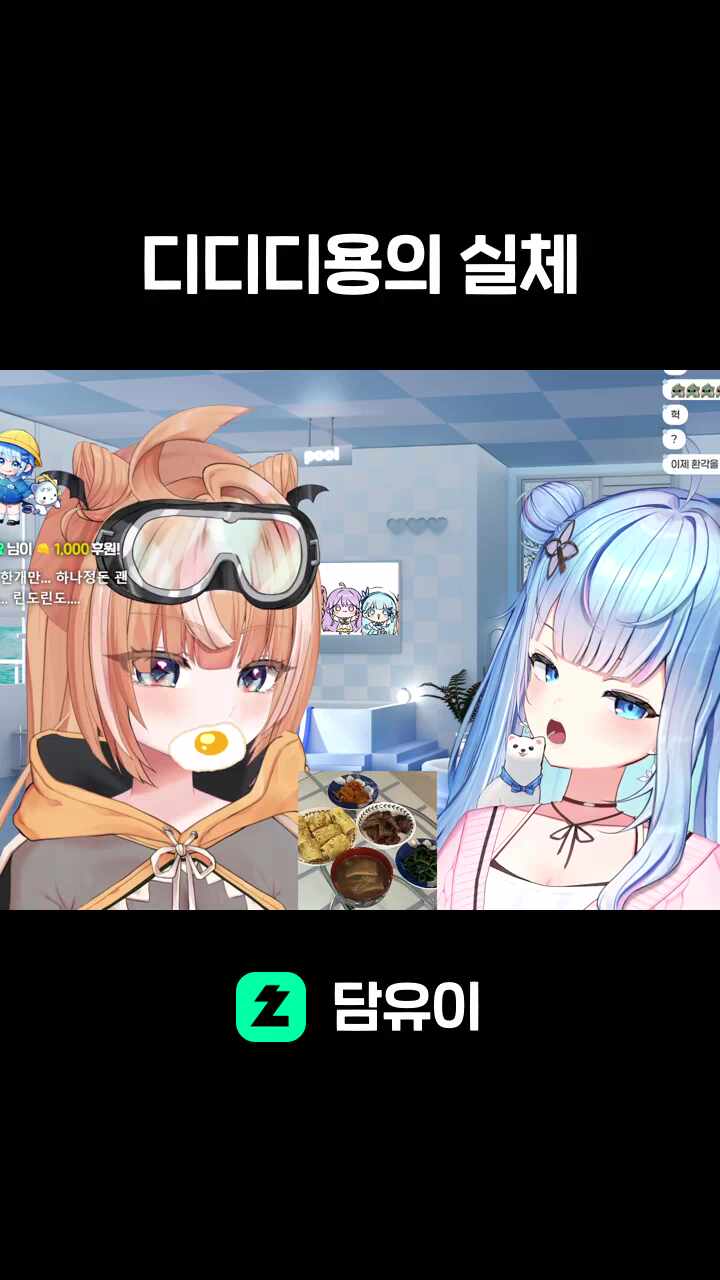 디디디용의 실체