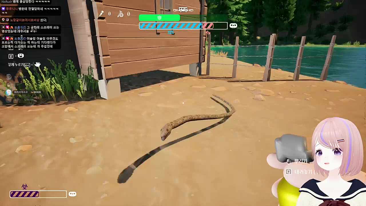 뱀에 물려죽은 할머니 운구