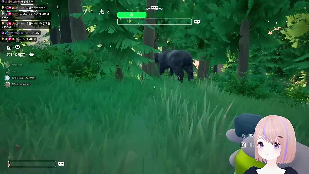 곰을 지뢰로 잡는다?