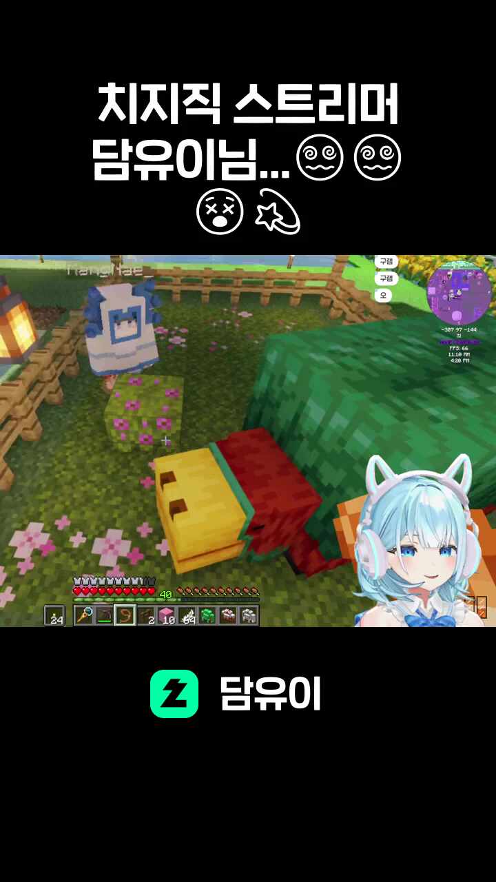 치지직 스트리머 담유이님...😵‍💫😵‍💫😵‍💫