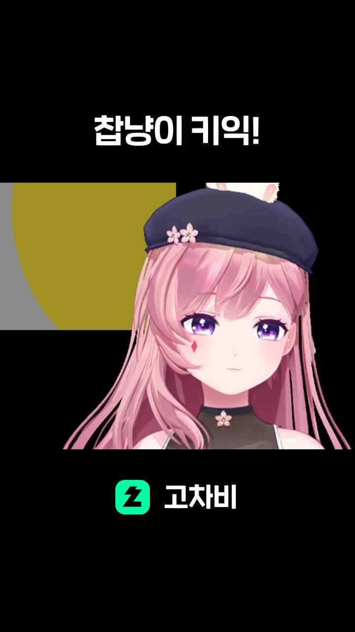 찹냥이 키익!