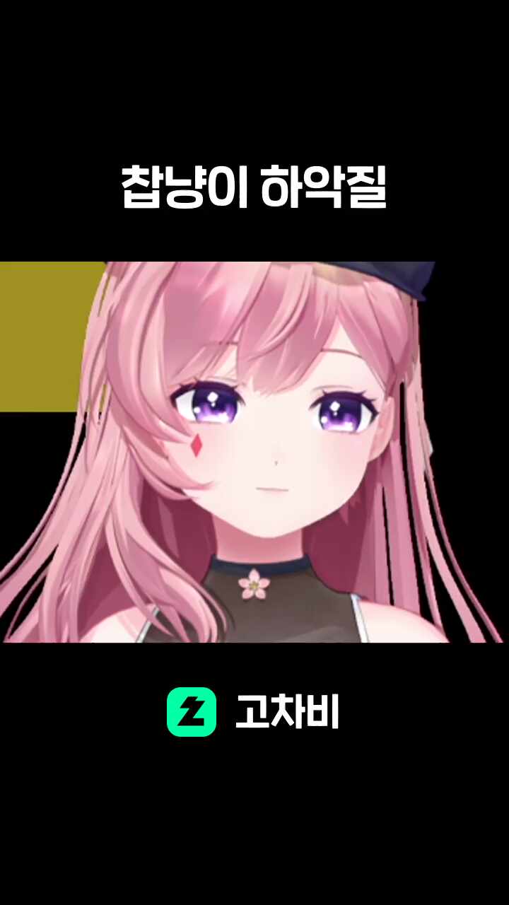 찹냥이 하악질