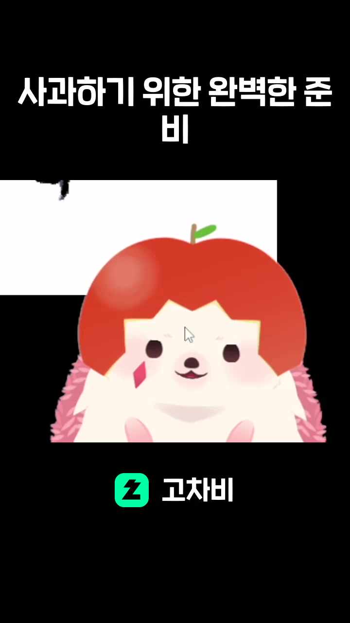 사과하기 위한 완벽한 준비