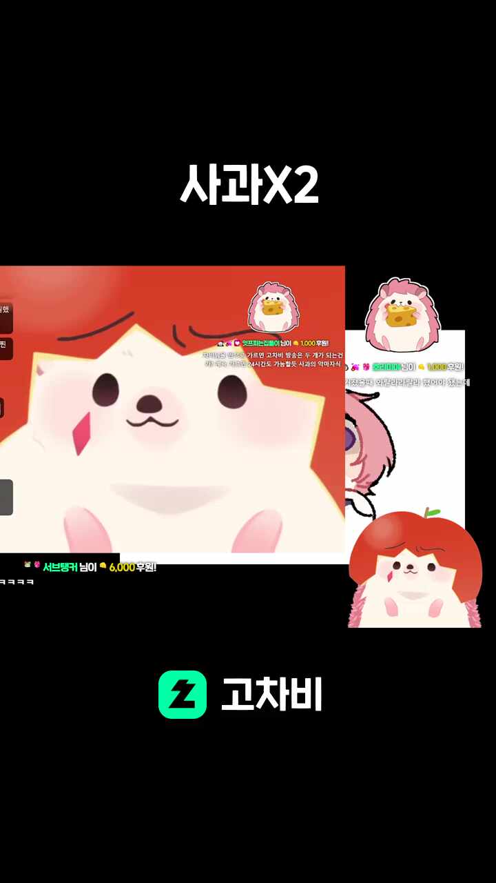 사과X2