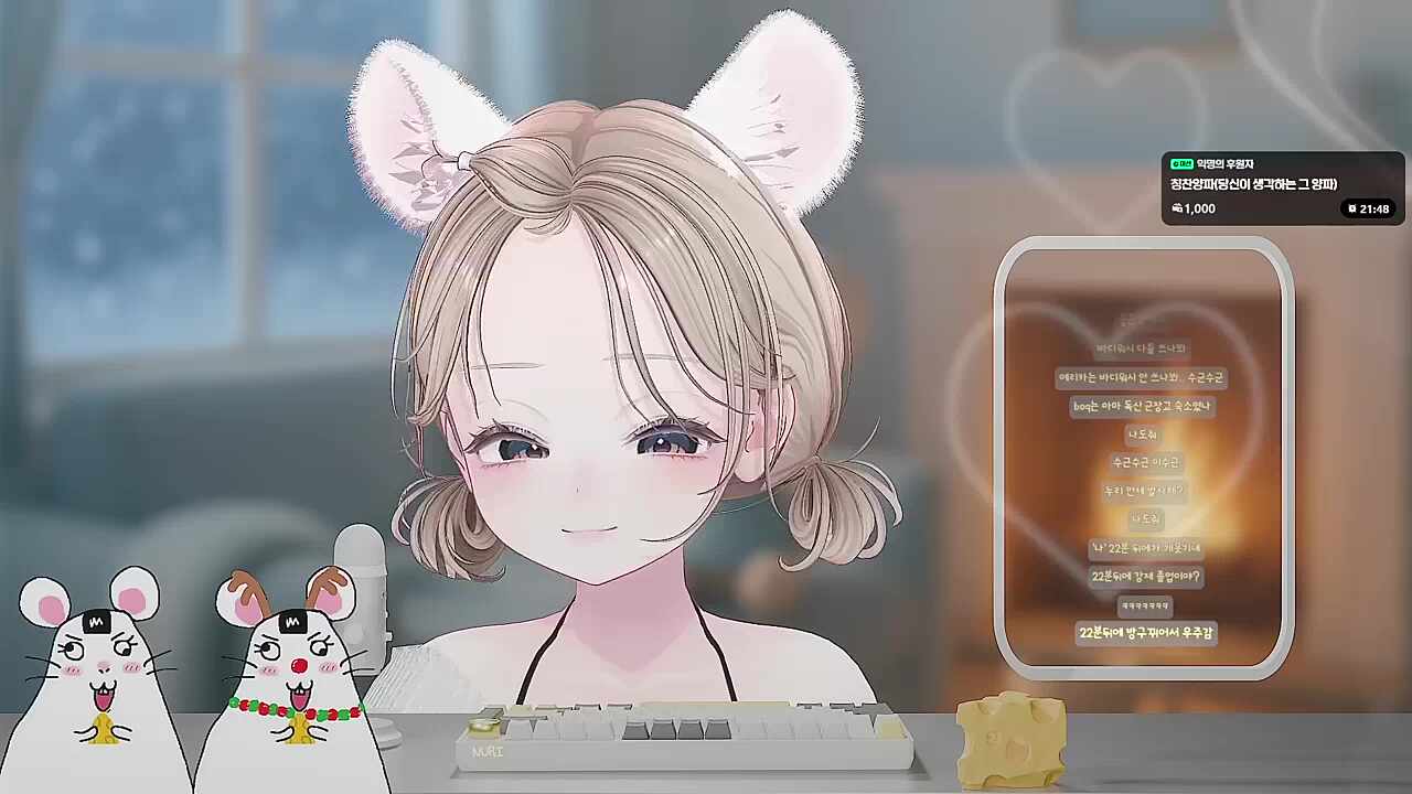 (곧 우주로 발사될 스트리머)