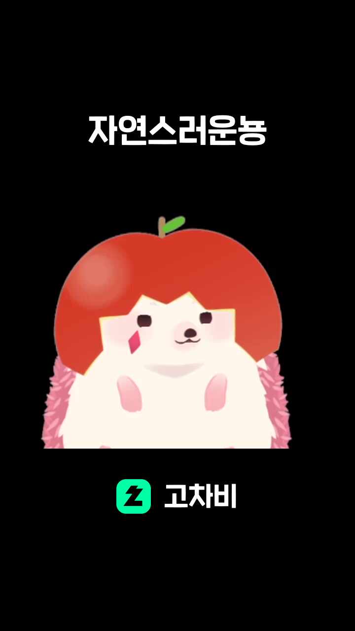 자연스러운뇽