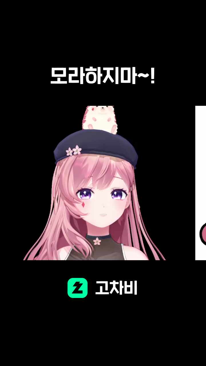모라하지마~!