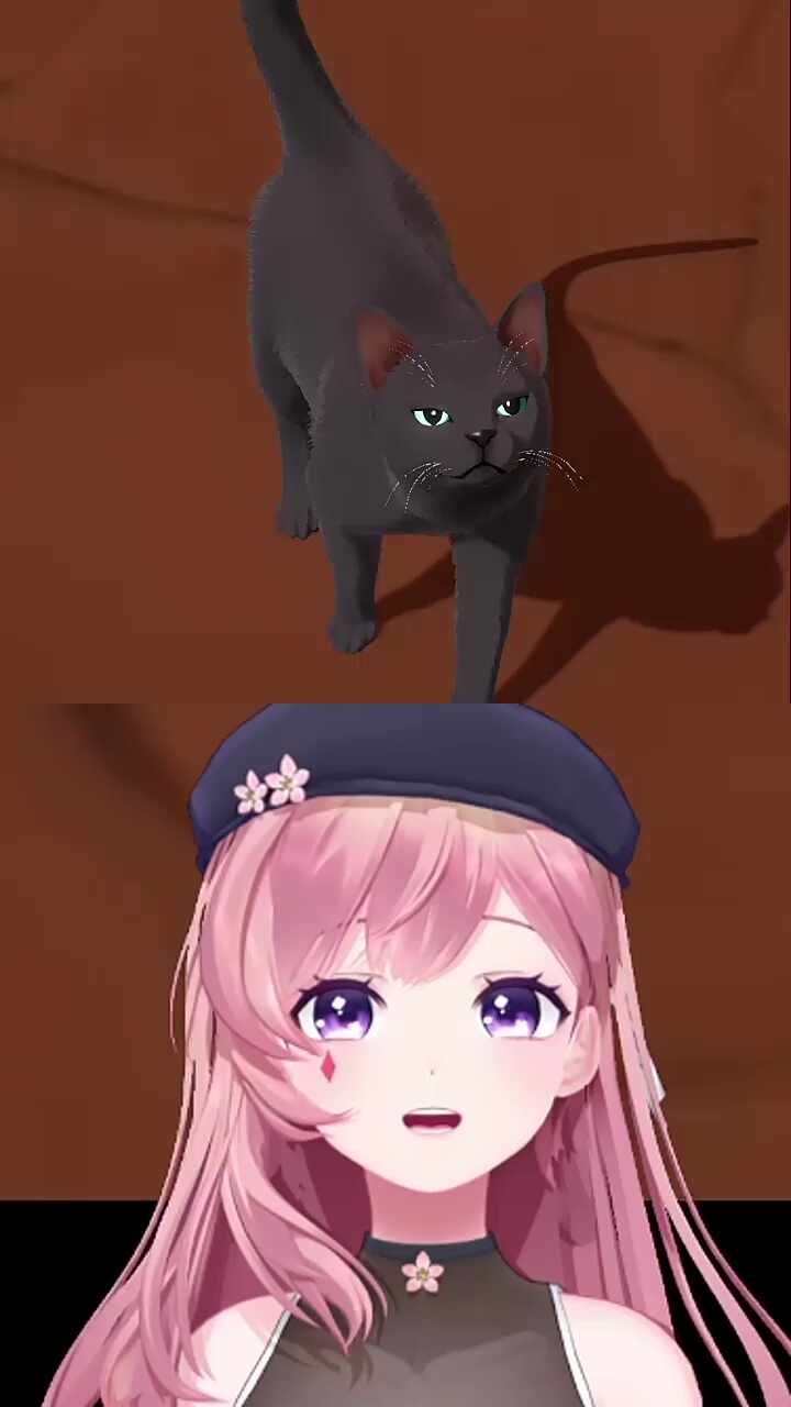 찹냥이 하악질