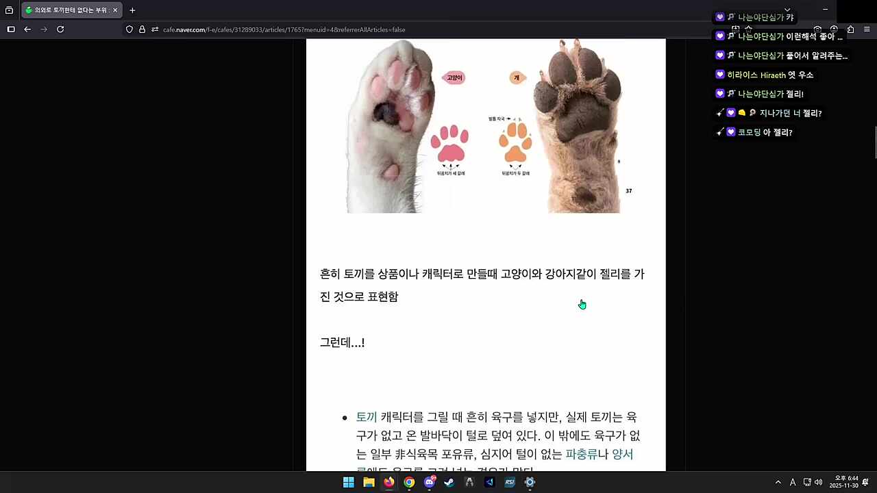토끼