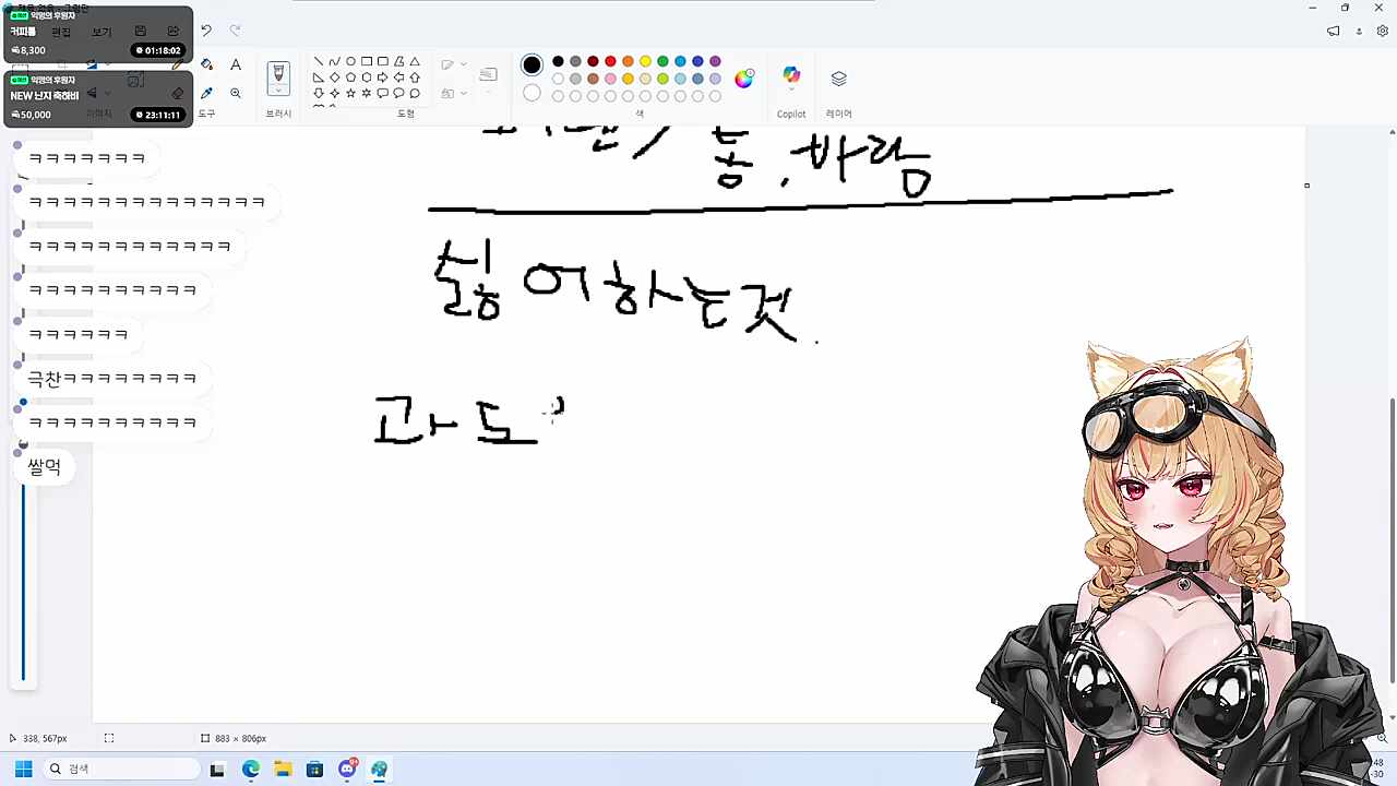 난지가 싫어하는 것