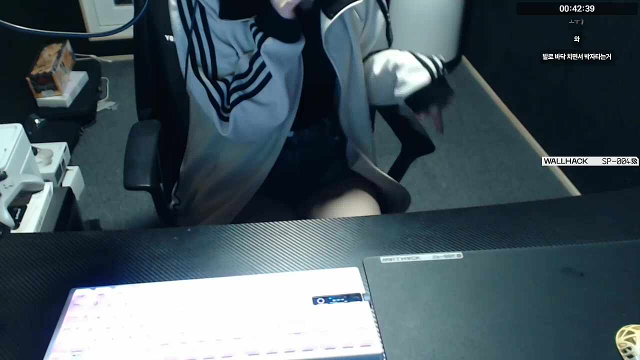 스트리머 반님.