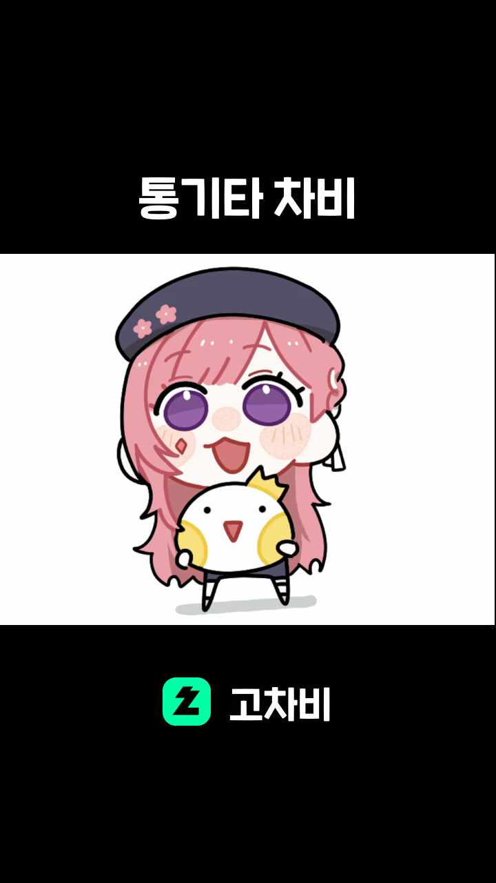 통기타 차비