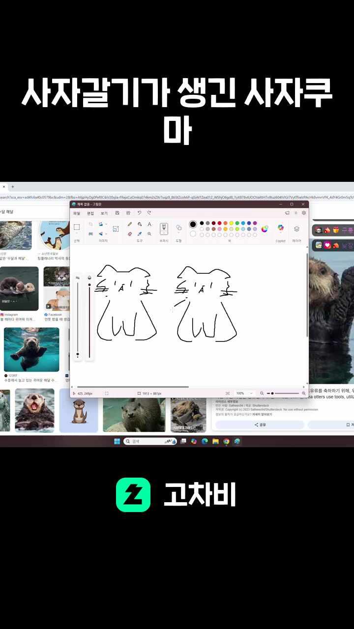 사자갈기가 생긴 사자쿠마