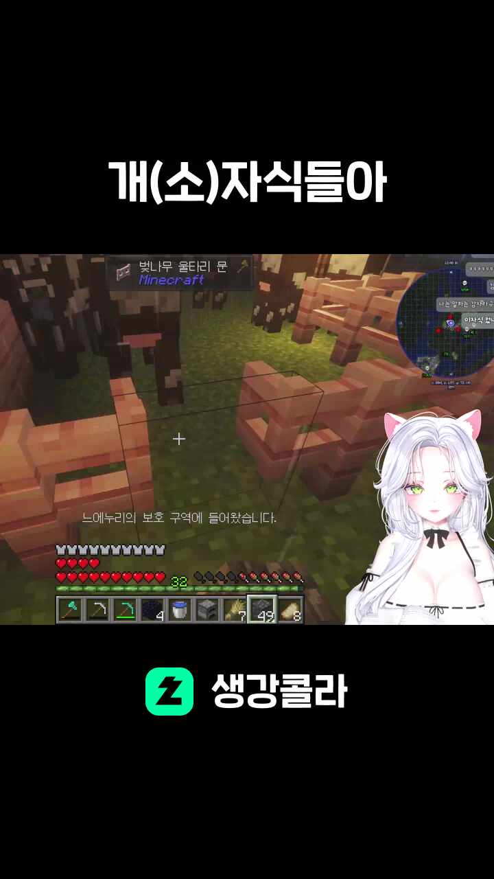 개(소)자식들아