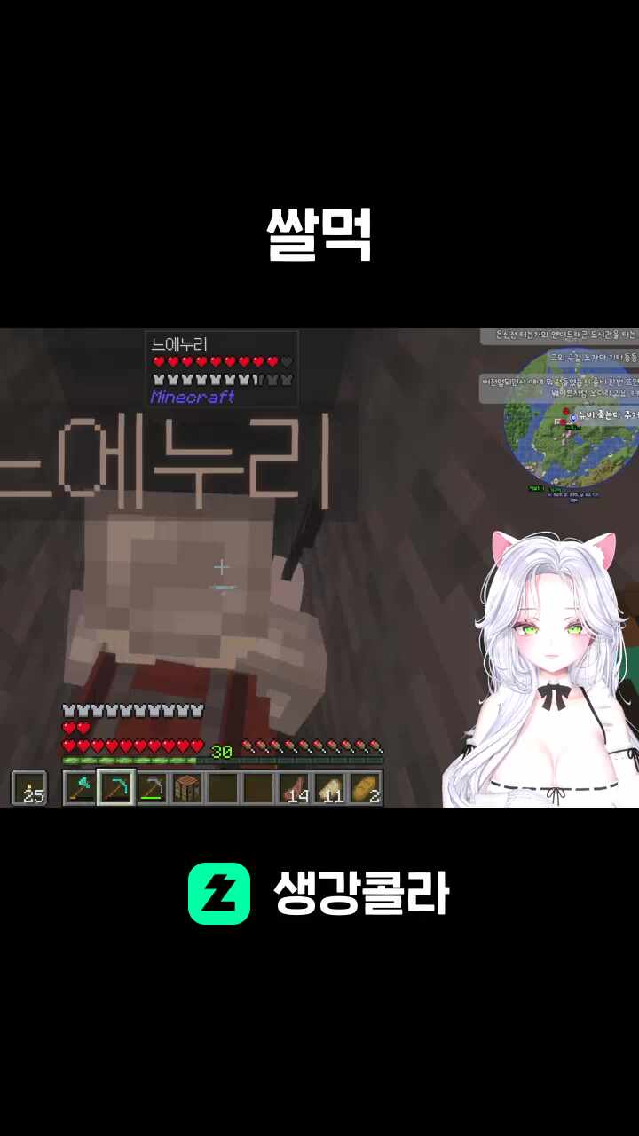 쌀먹