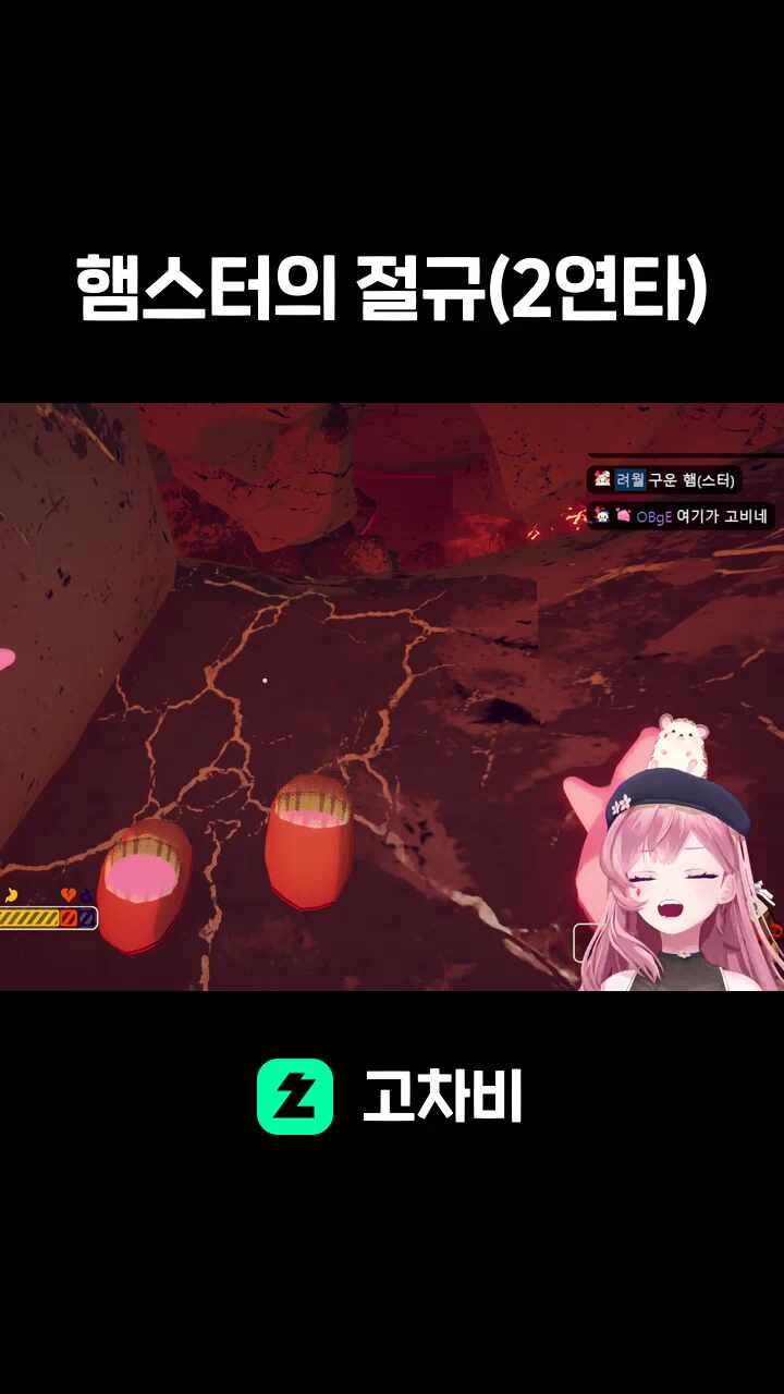 햄스터의 절규(2연타)