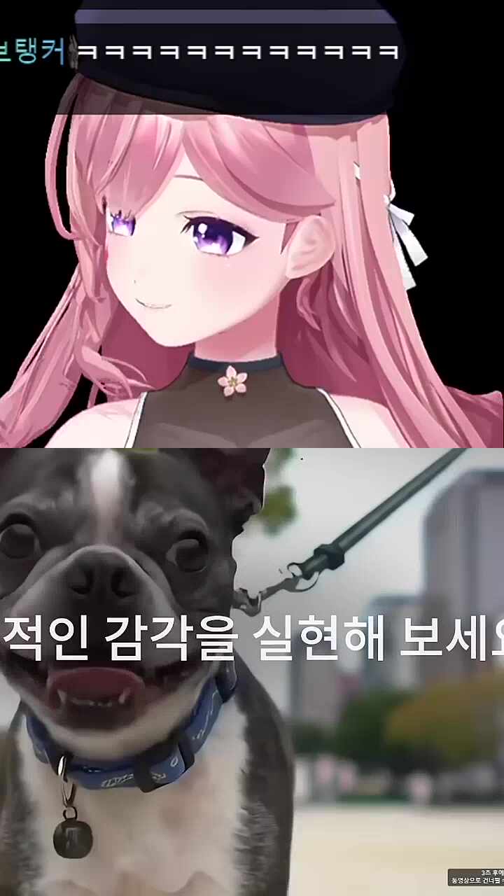 방찌님 키가 궁금한