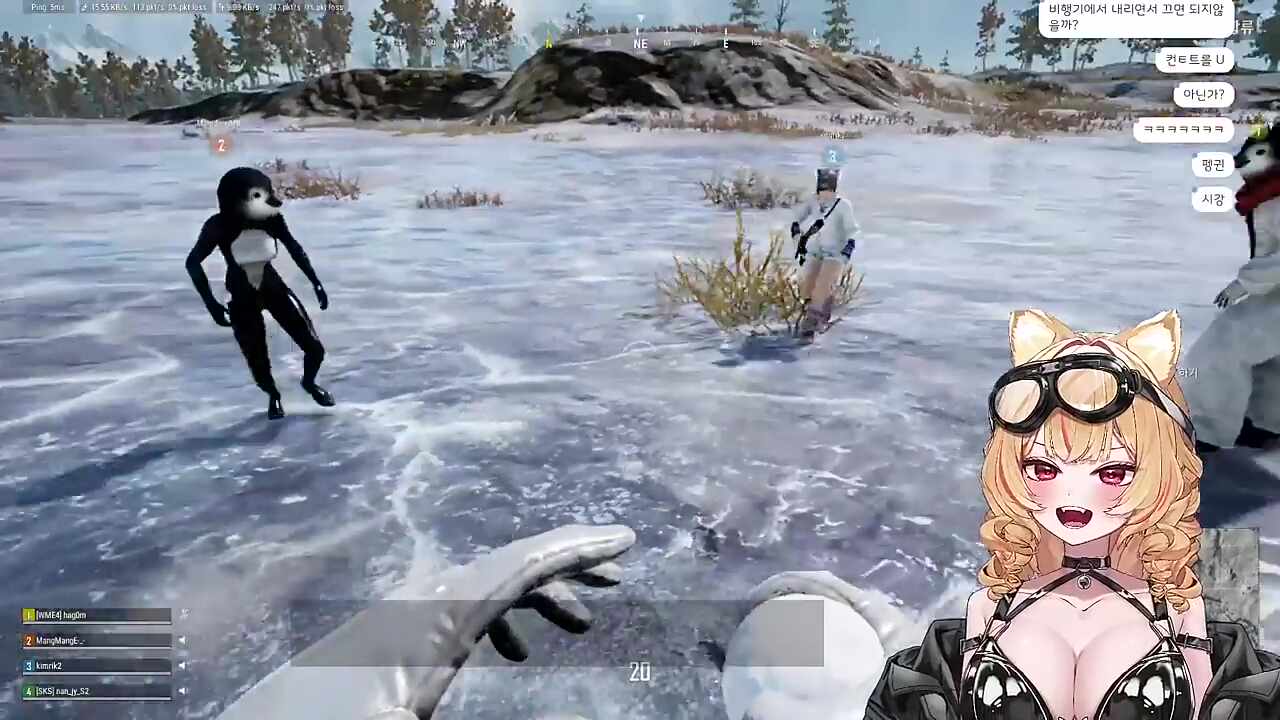 펭귄 암수 한쌍 