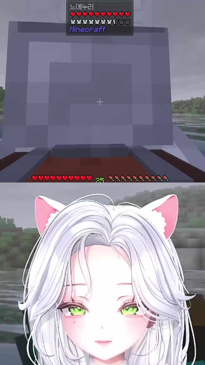 느엥이가 준 다이아가방