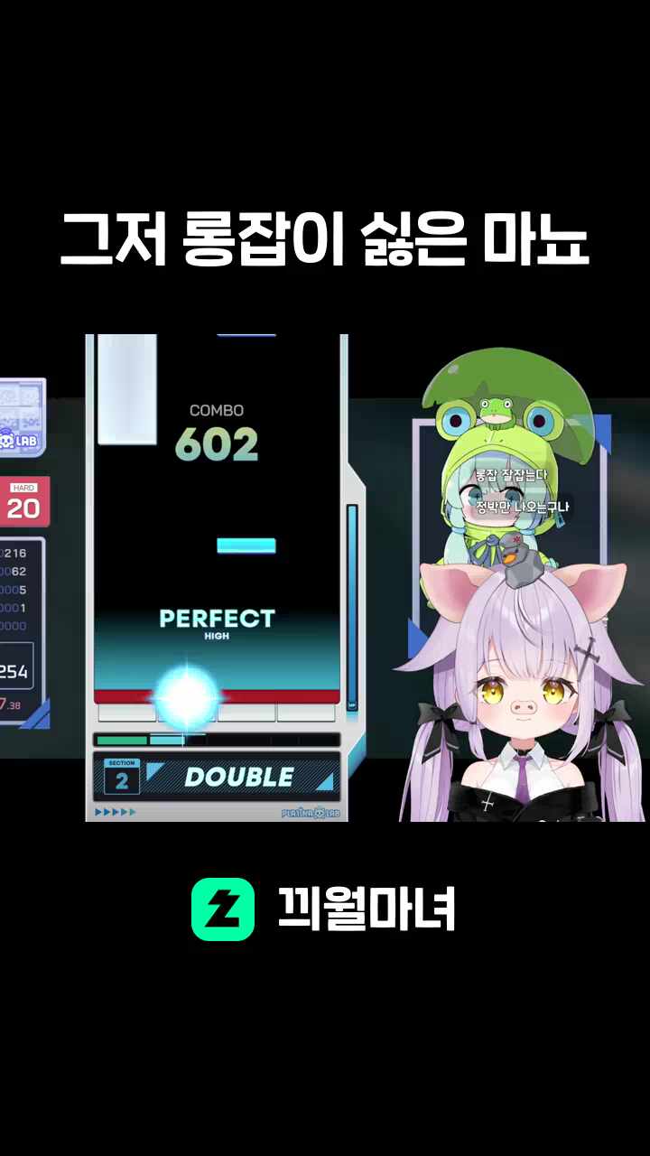 그저 롱잡이 싫은 마뇨