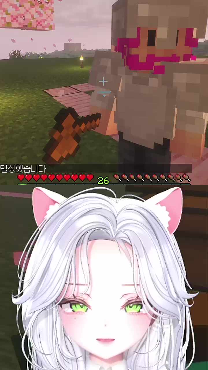 정중한 강도 채로키님